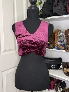 Staring at Stars Plum Floral Velvet V‑Neck Crop Top